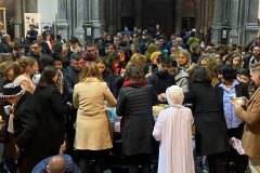 52823307242_c4c887476d_k