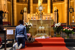 53231403879_7d856992cf_c