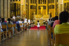 53236091831_d6e76b0197_c