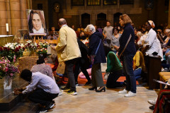 53223824181_5e4361a7b0_c