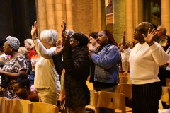 53223824836_c85e03fa19_c