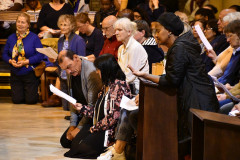 53224212194_72d7a752f8_c