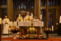 53229464446_c731ff4ff8_c