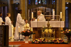 53229476866_5f603c05a2_c