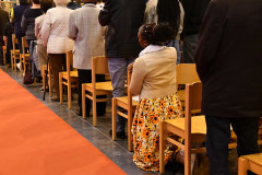 53229485111_8b48e54221_c