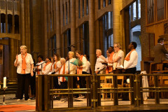 53229769923_310c0ce15e_c