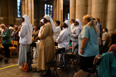 53229774668_5cffe4c379_c