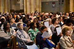 53229778008_78867dd6f4_c