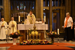 53229842684_7e0cb0503e_c