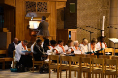 53229950325_d2a8b477ca_c