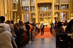 53229958785_8cb0011ab6_c