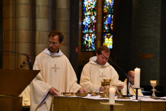 53230016859_9e52704ed3_c