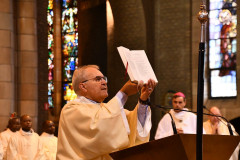 53230134040_7a396d818f_c