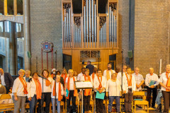 53212080836_42473ac15a_c