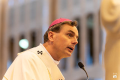 53212592035_22888a2784_c