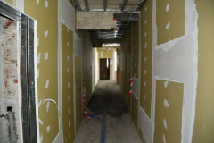 52433835332_9b002b1275_c