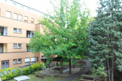 50032795046_fe779e4c19_w