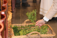 32670637487_1a335a042b_o-1