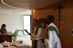 53182870645_dc5eb457a1_o