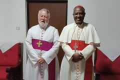 52971066767_a325601c27_c