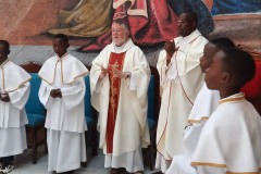 52951959647_e5583d8431_o