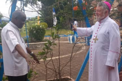 52955365780_9443a976c7_o