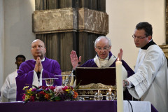 52727238786_2bf35afd4d_c