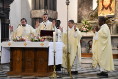 53684933275_9f33866054_c