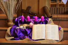 53595342949_a99bdbd317_o