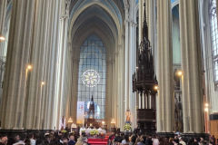 04CCCA1D-B406-4FEF-AFAD-93DE28E29133