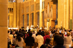 53213699432_1cf982cea0_c