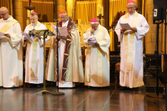 52417321604_fa44828485_c