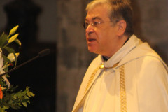 51682260873_fce50f4d9a_c