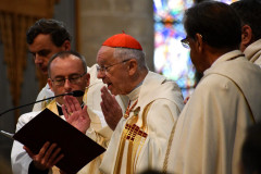 53061078159_738548abf4_c