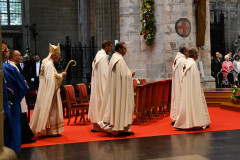 53061375703_793839fda3_c