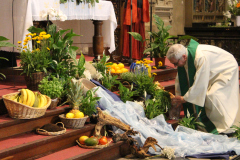 53160644472_395465fdca_o