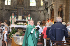 53161243411_92422fee7b_o