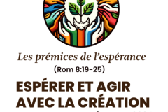 TPLC-24Construction-caree