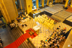 53212079441_e3b1f0982c_o