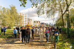 53212391053_33256901f6_o