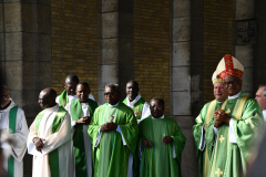 53245310678_95b3ed2296_o