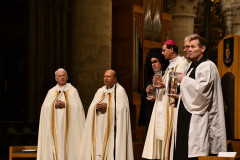 53486242217_0676c9aa95_c