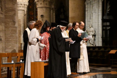 53487456464_366eab8938_c