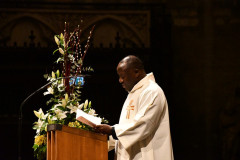 53487457284_ee8e4de84c_c