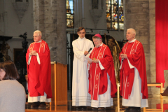 46759320675_a46f45eb65_o