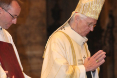 33797801668_de235635a4_o