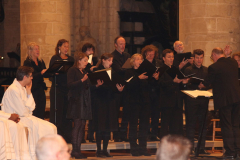 47675320601_5000ed2063_o