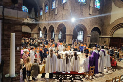 52750986909_2730ffdc9f_c