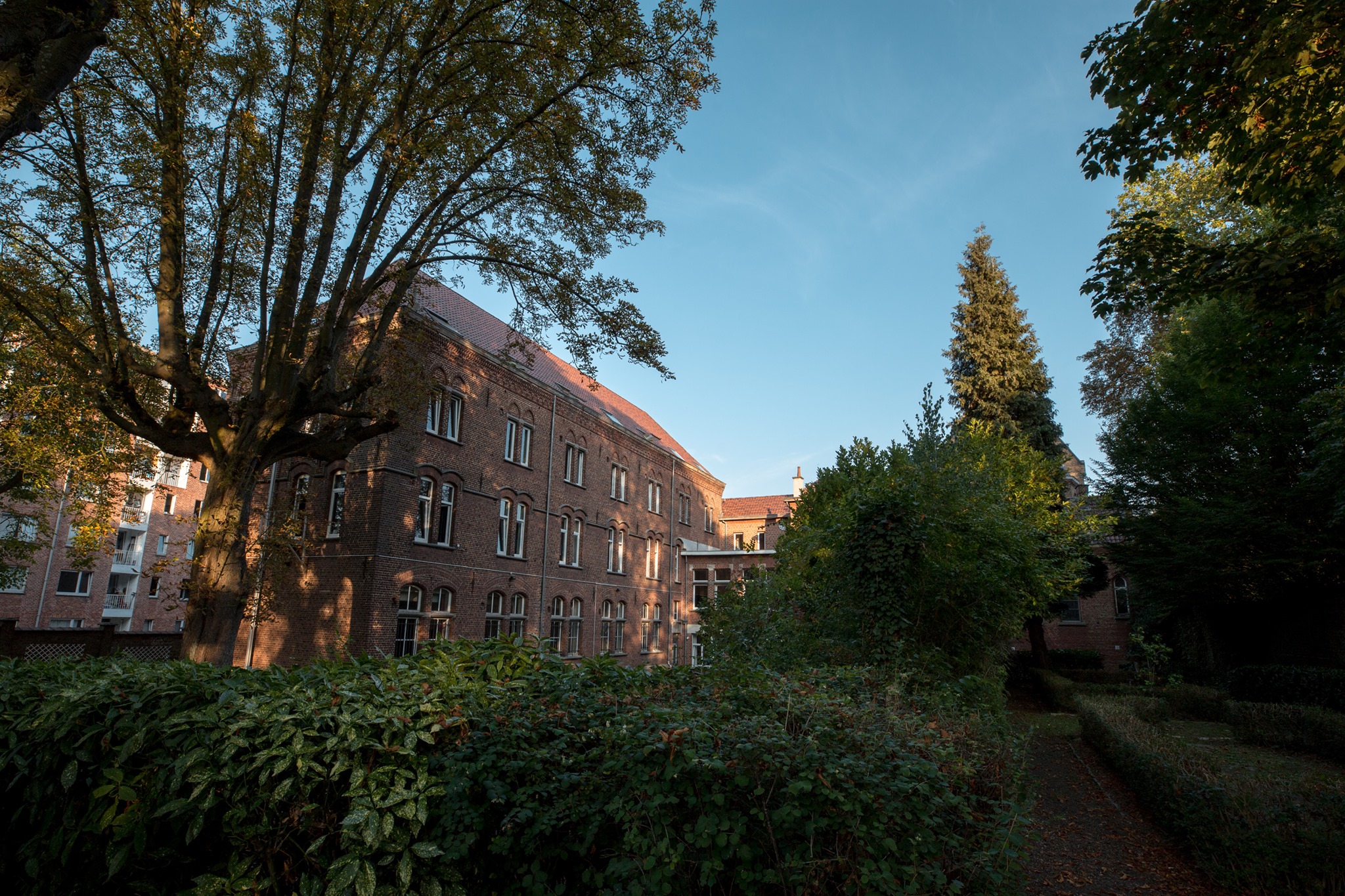 19 avril | Journée "Restaura me" chez Alliance de Miséricorde