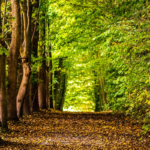 4 au 8 Septembre | Retraite - formation à la Cova à Manresa